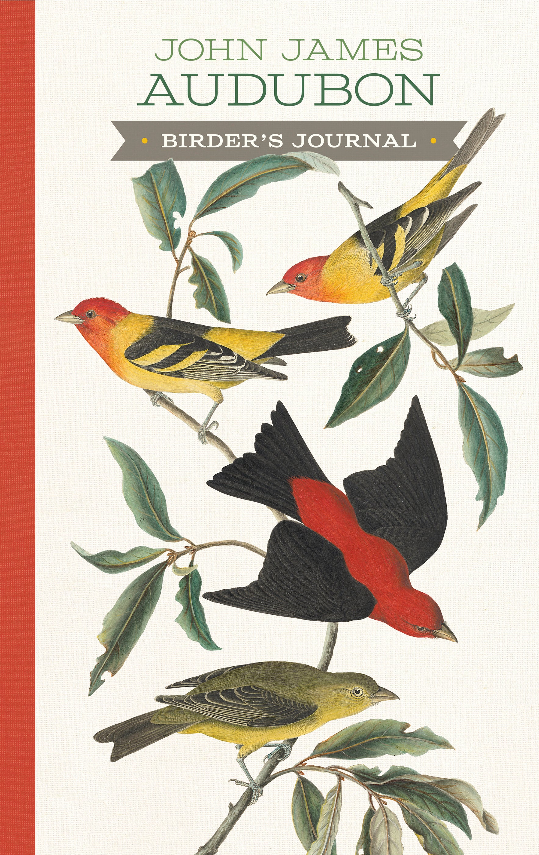 pomegranate-john-james-audubon-birder-s-journal-vogel-tagebuch image 1
