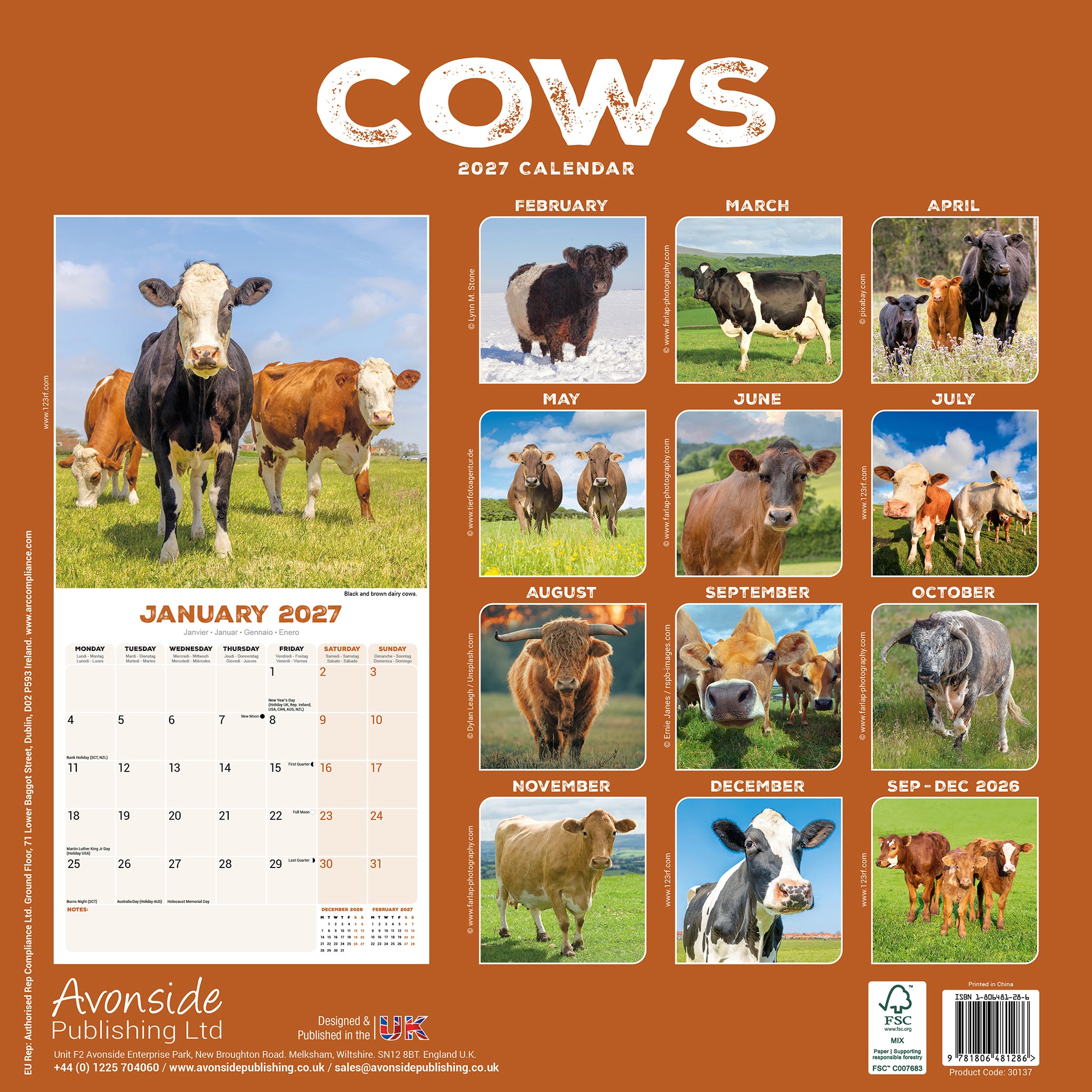 otter-house-cows-wall-calendar-2027-wandkalender-k-he image 2