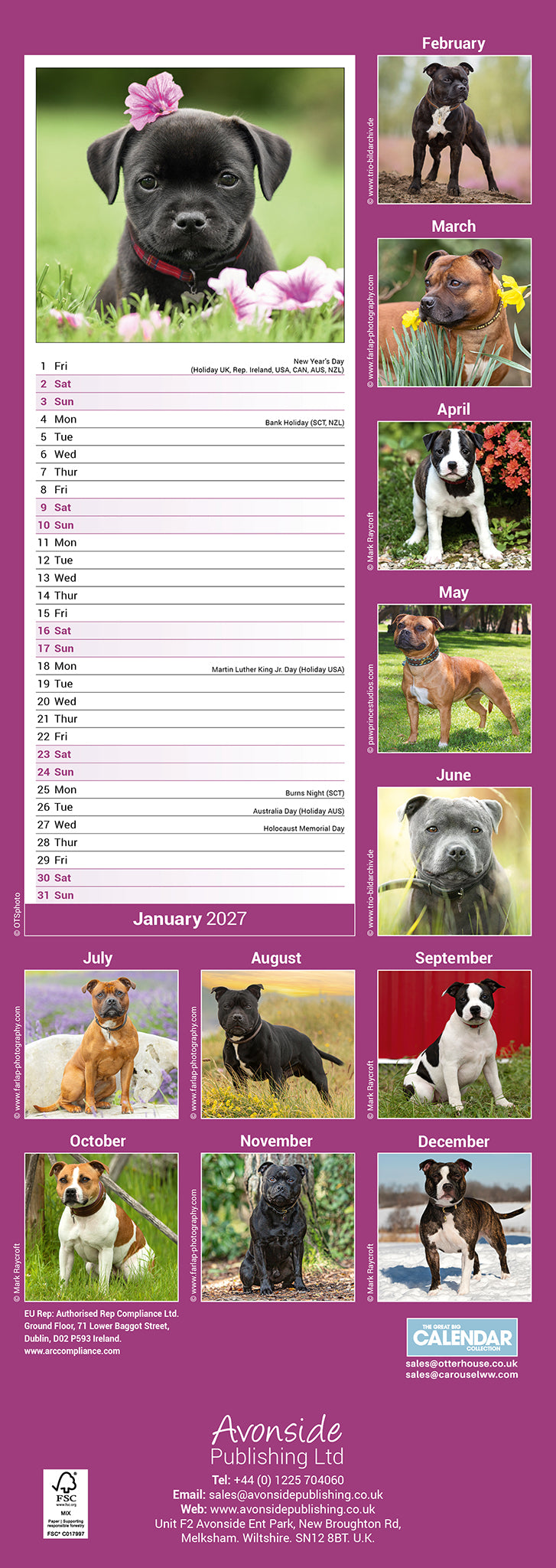 otter-house-staffordshire-bull-terrier-kalender-2027 image 2