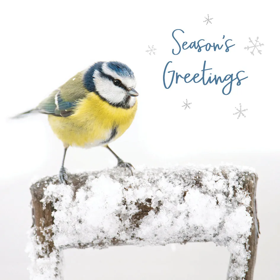 otter-house-rspb-seasons-greetings-weihnachtskarten-10er-pack image 1