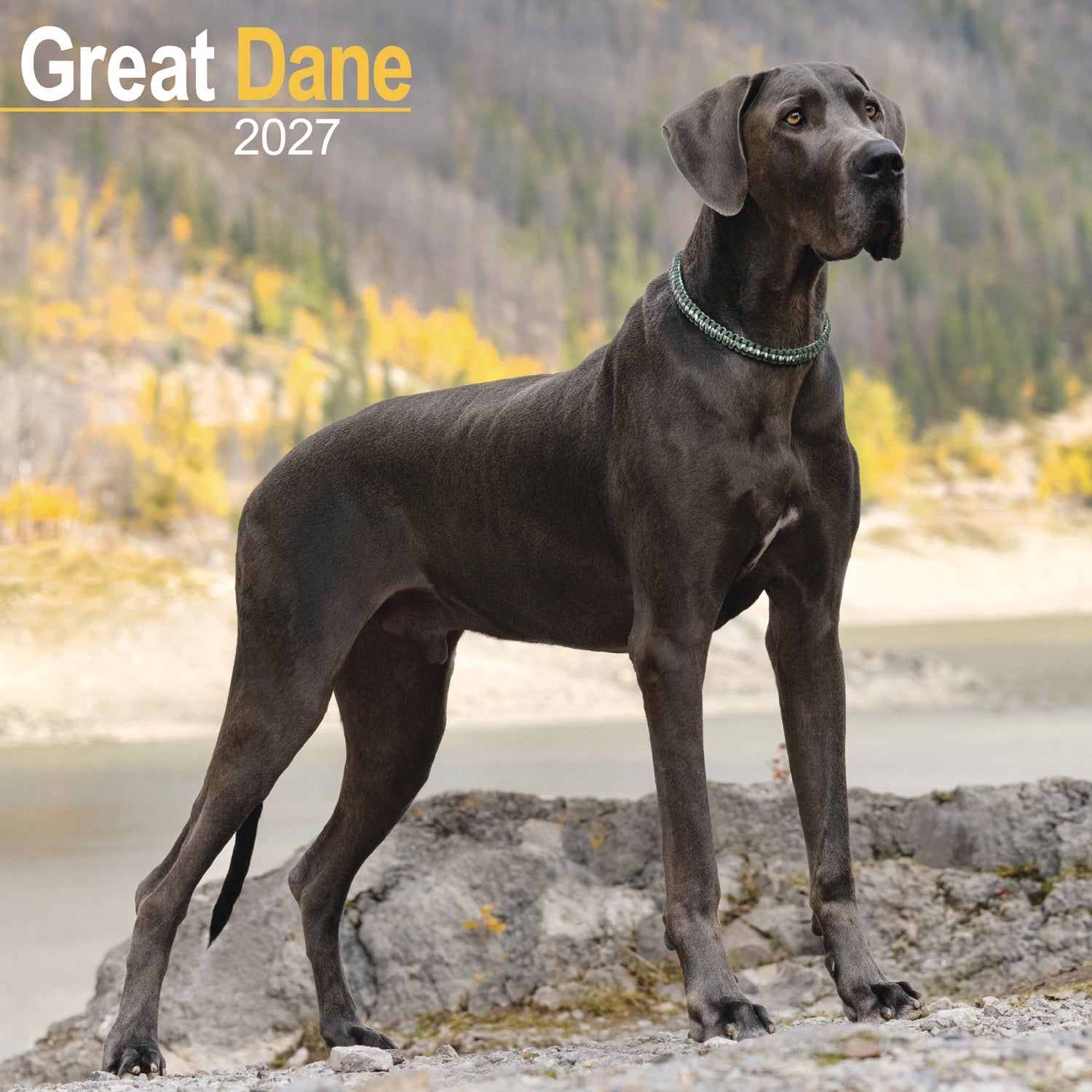 otter-house-great-dane-wandkalender-2027-deutsche-dogge image 1