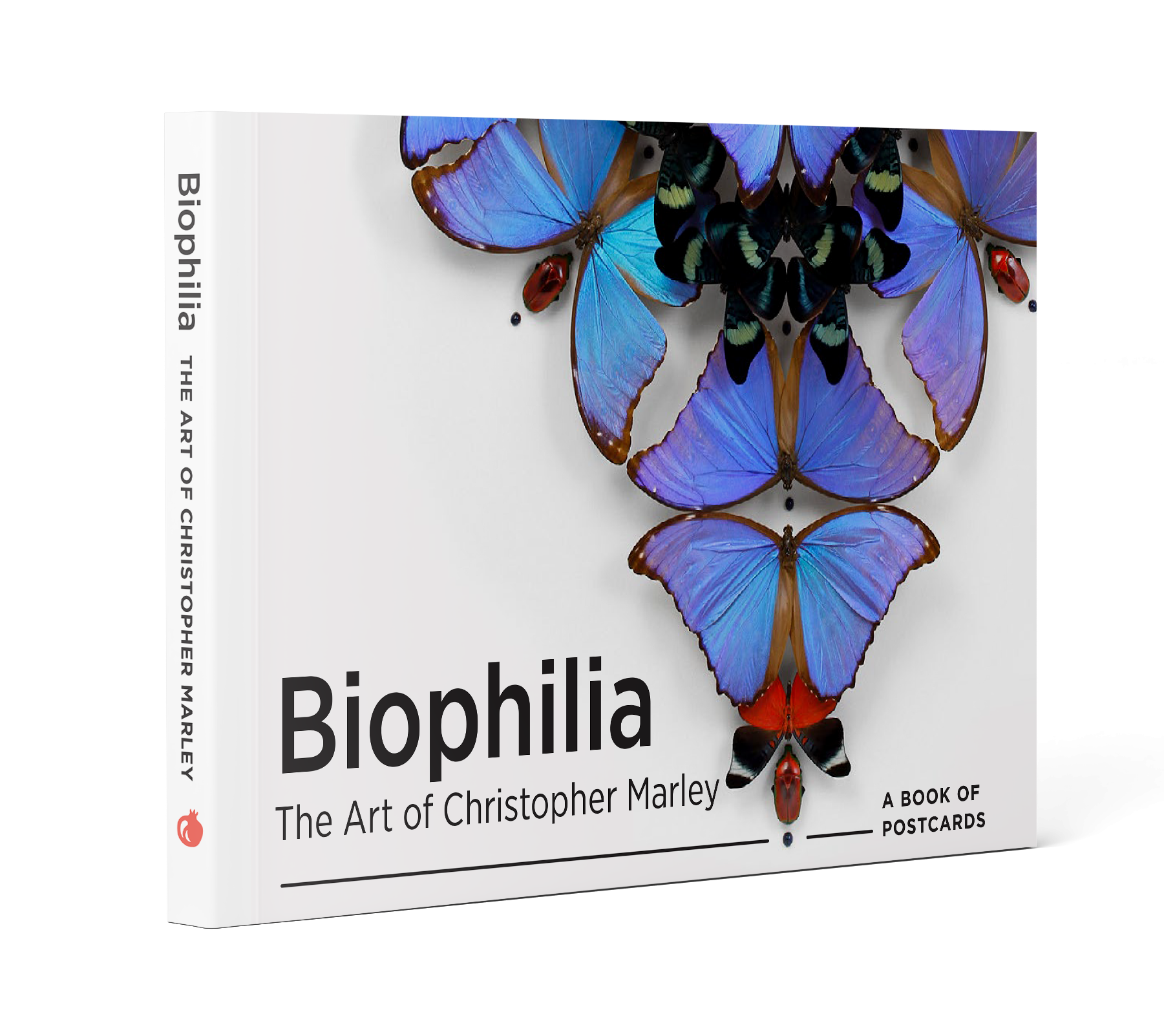 pomegranate-biophilia-postkarten-buch-christopher-marley-tiere image 1
