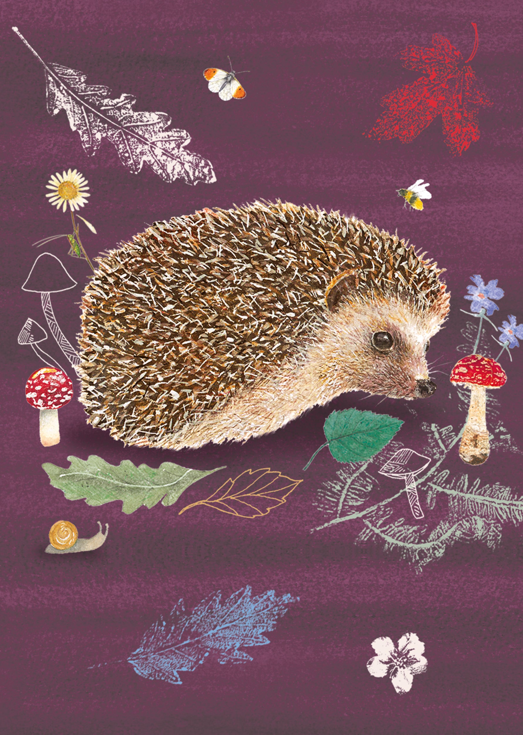 otter-house-puzzle-beyond-the-hedgerow-notizkarten-6er-igel image 2