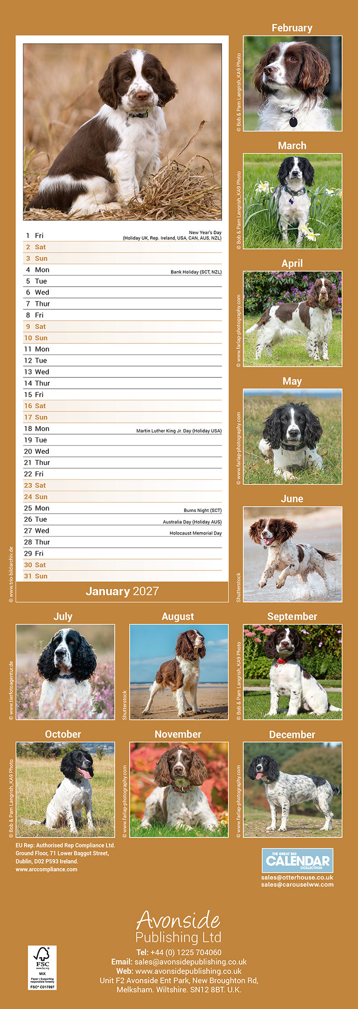 otter-house-english-springer-spaniel-slim-kalender-2027-hund image 2