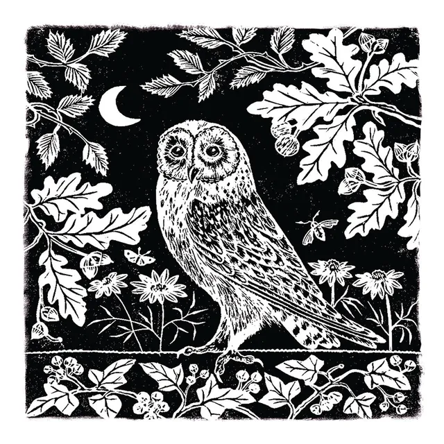 otter-house-rspb-owl-moon-grusskarte-eule image 1