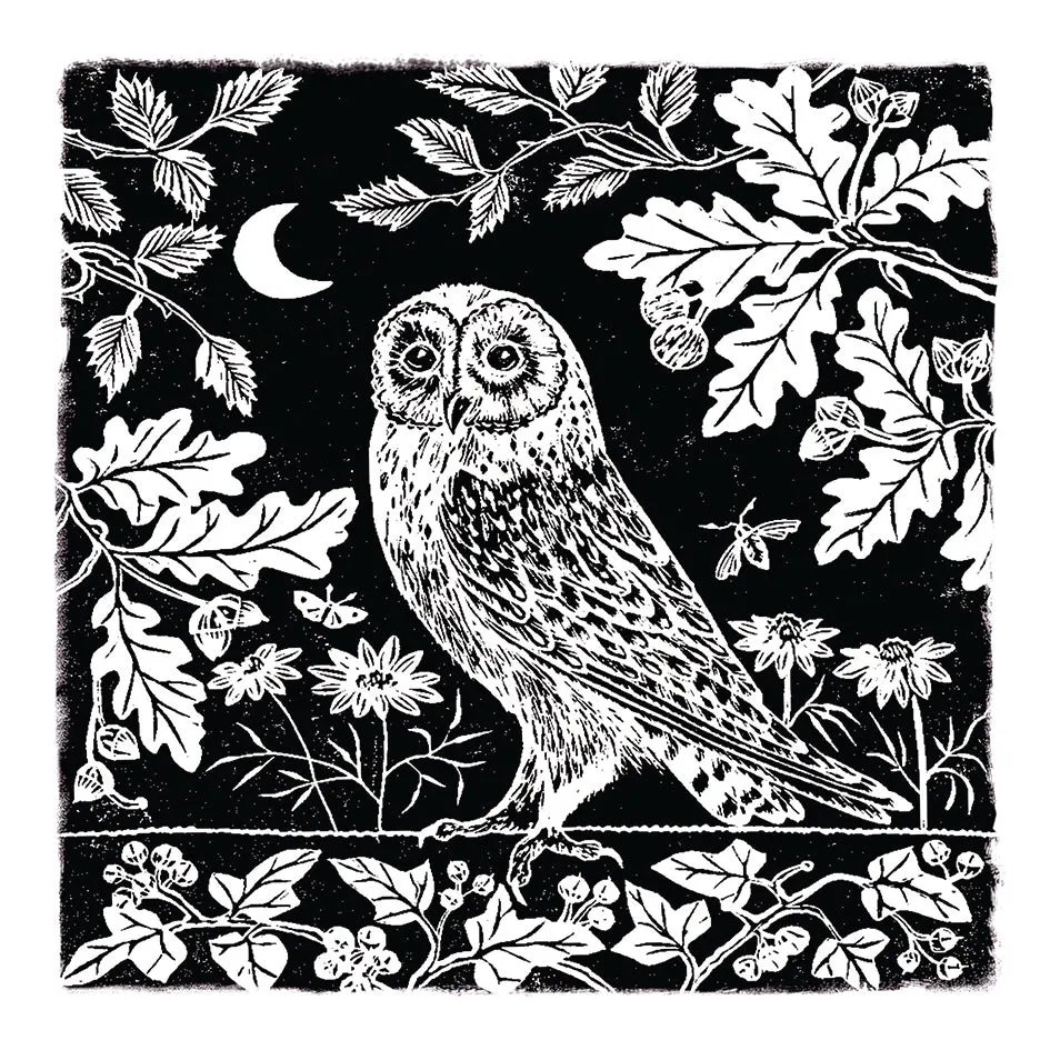 otter-house-rspb-owl-moon-grusskarte-eule image 1