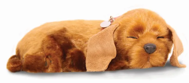 otter-house-precious-petzzz-mutt-pl-schhund-mit-bett image 1
