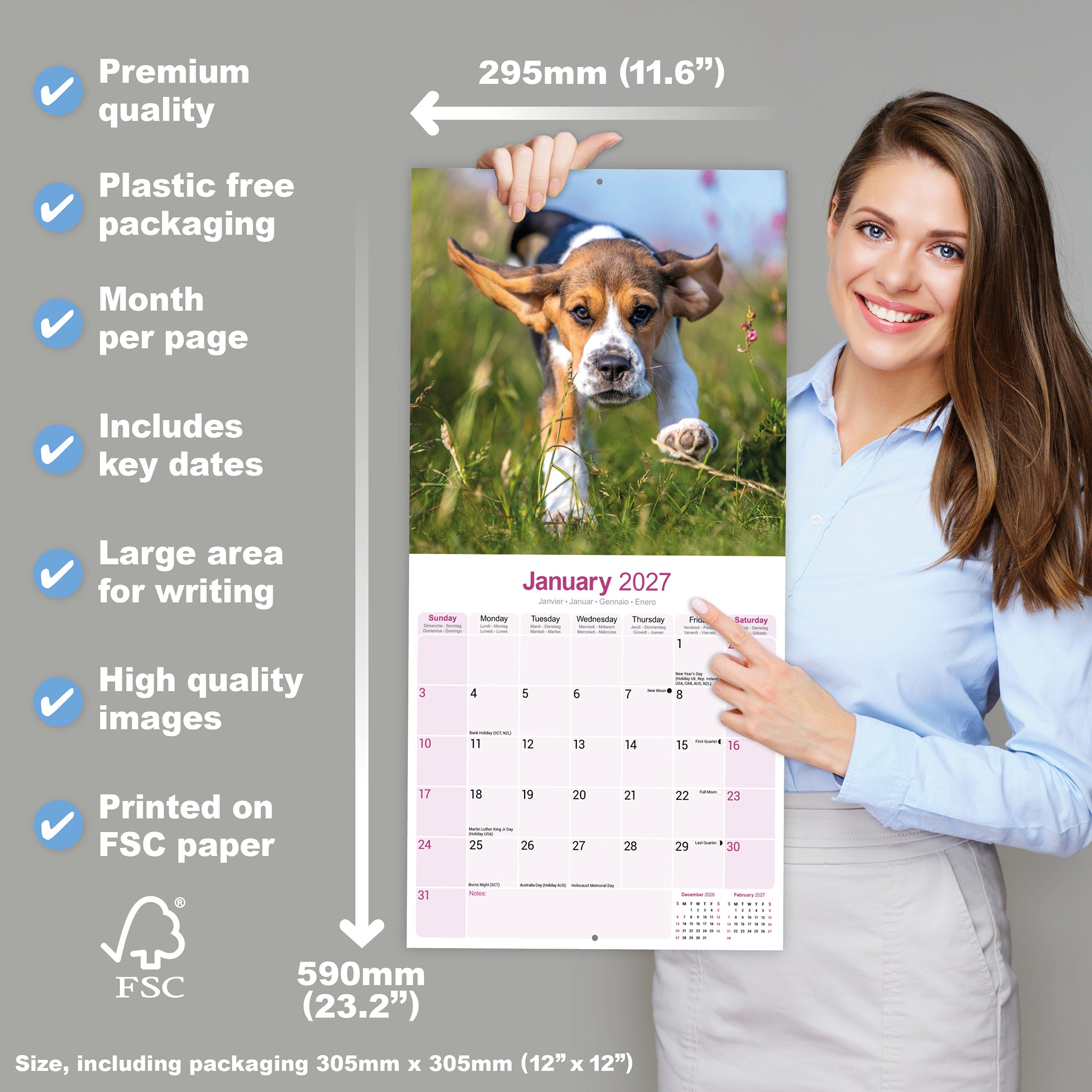 otter-house-beagle-wandkalender-2027-hunde-bilderkalender image 4