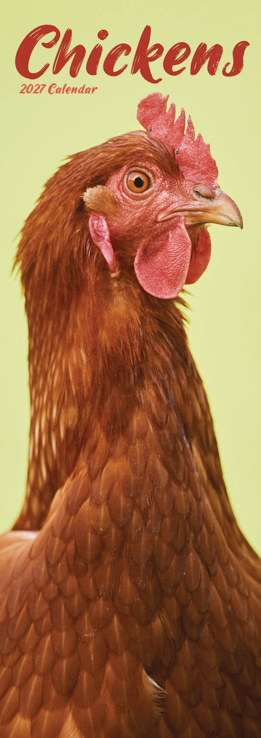 otter-house-chickens-slim-kalender-2027-h-hner-wandkalender image 1