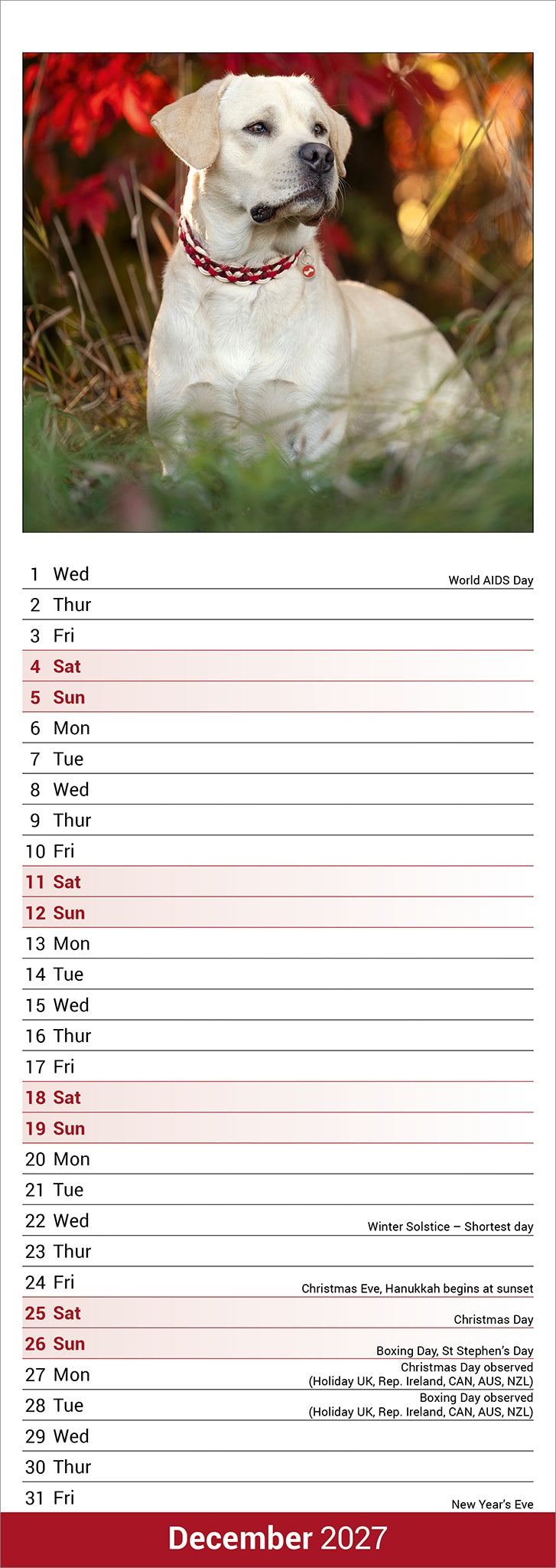 otter-house-labrador-retriever-slim-kalender-2027-hund image 3