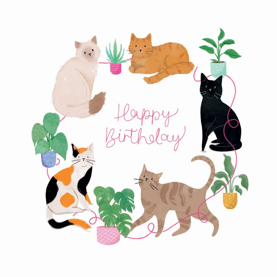 otter-house-party-animals-cats-geburtstagskarte-katzen image 1