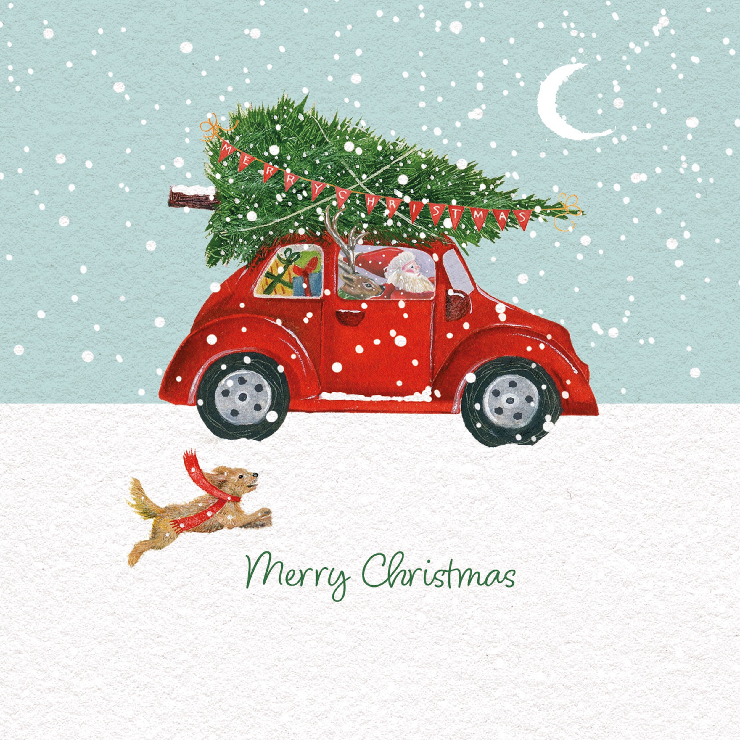 otter-house-christmas-taking-the-tree-home-weihnachtskarten-10er-pack-charity image 1