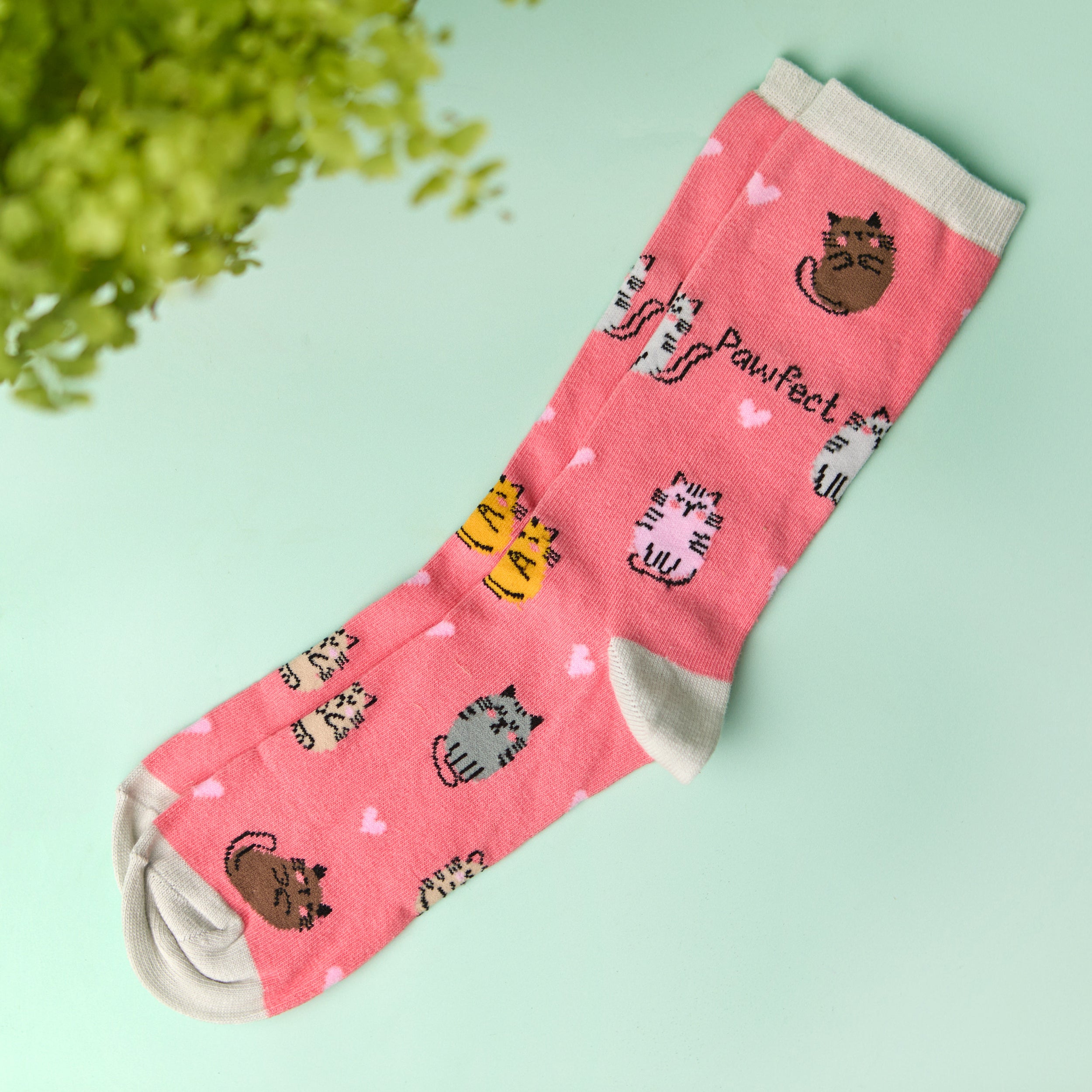 otter-house-sock-it-to-em-socken-pawfect-katzen-1-paar image 1