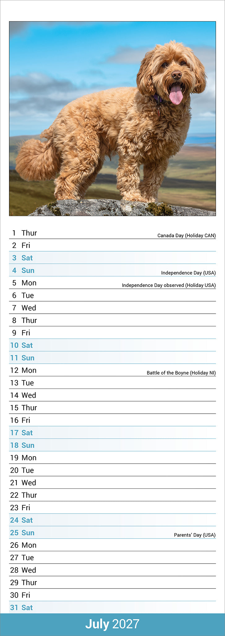 otter-house-cockapoo-slim-kalender-2027-hundekalender image 3