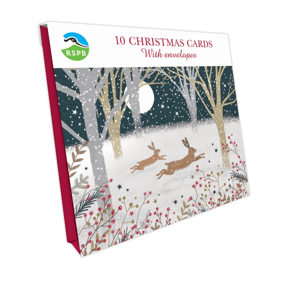 otter-house-christmas-running-hares-weihnachtskarten-10er-pack image 1
