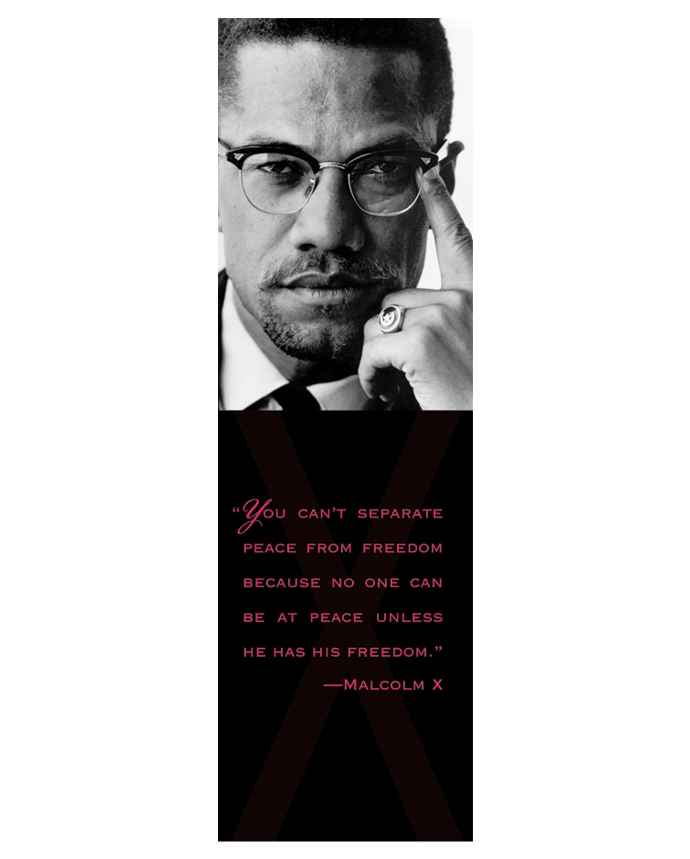 pomegranate-malcolm-x-bookmark-lesezeichen-geschichte image 1