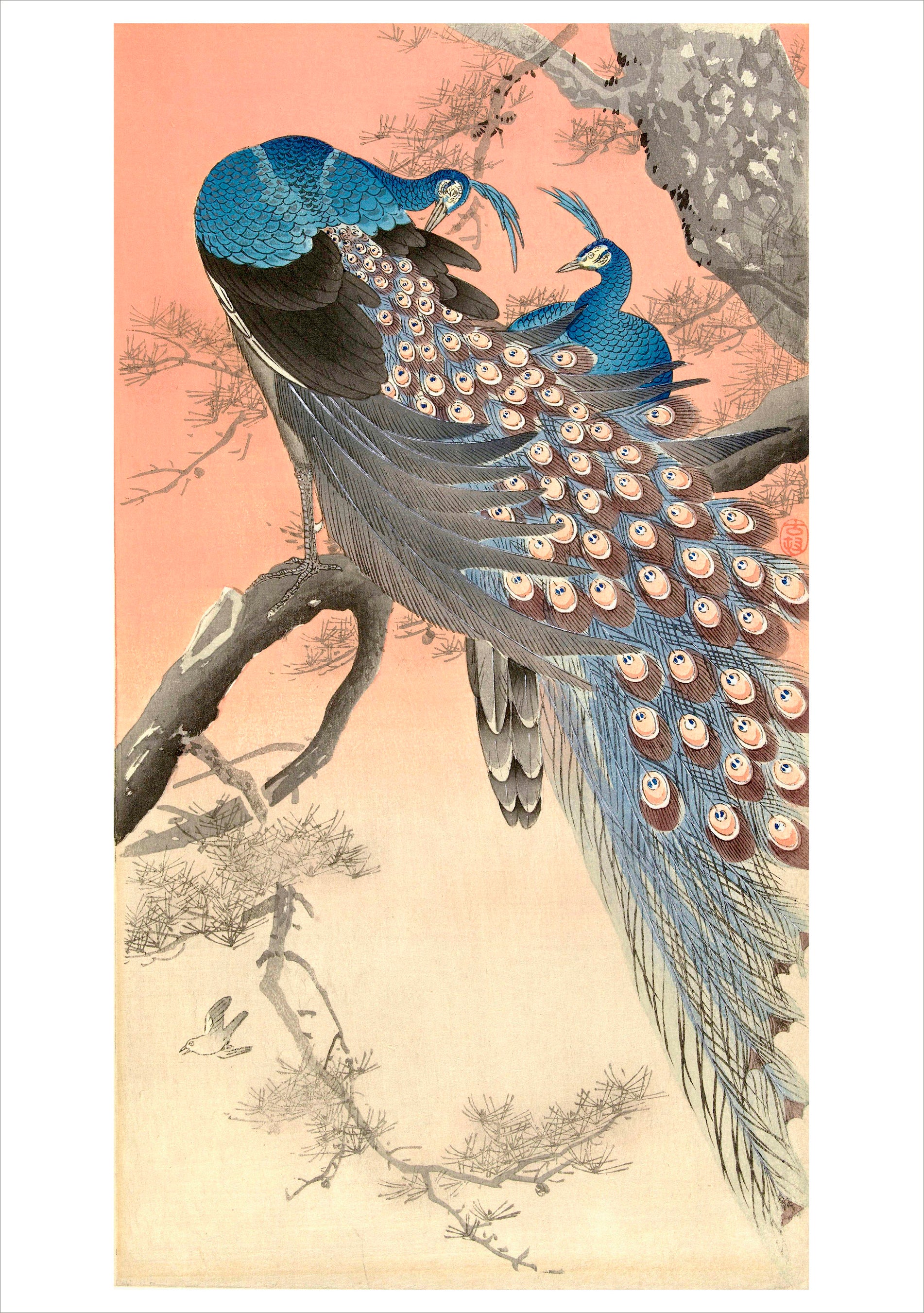 pomegranate-blank-notecards-ohara-koson-klappkarte-pfaue image 1