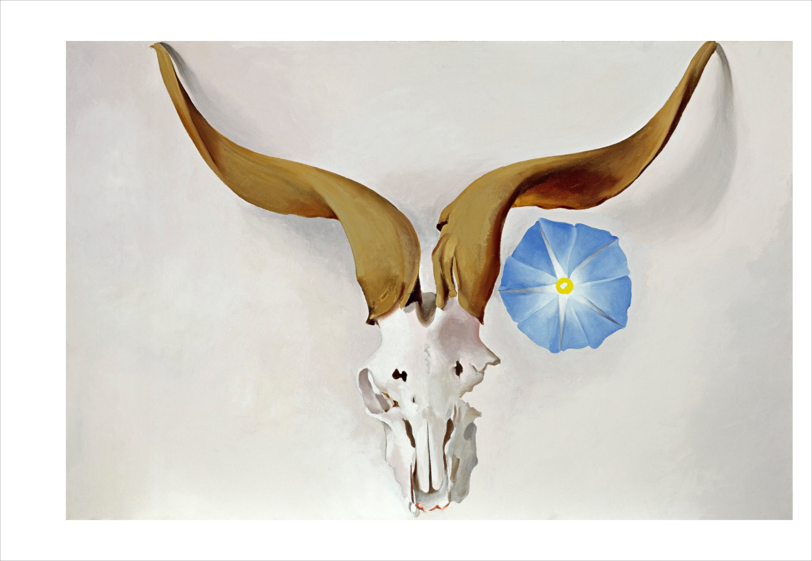 pomegranate-georgia-o-keeffe-postkartenbuch-30-st-ck image 4