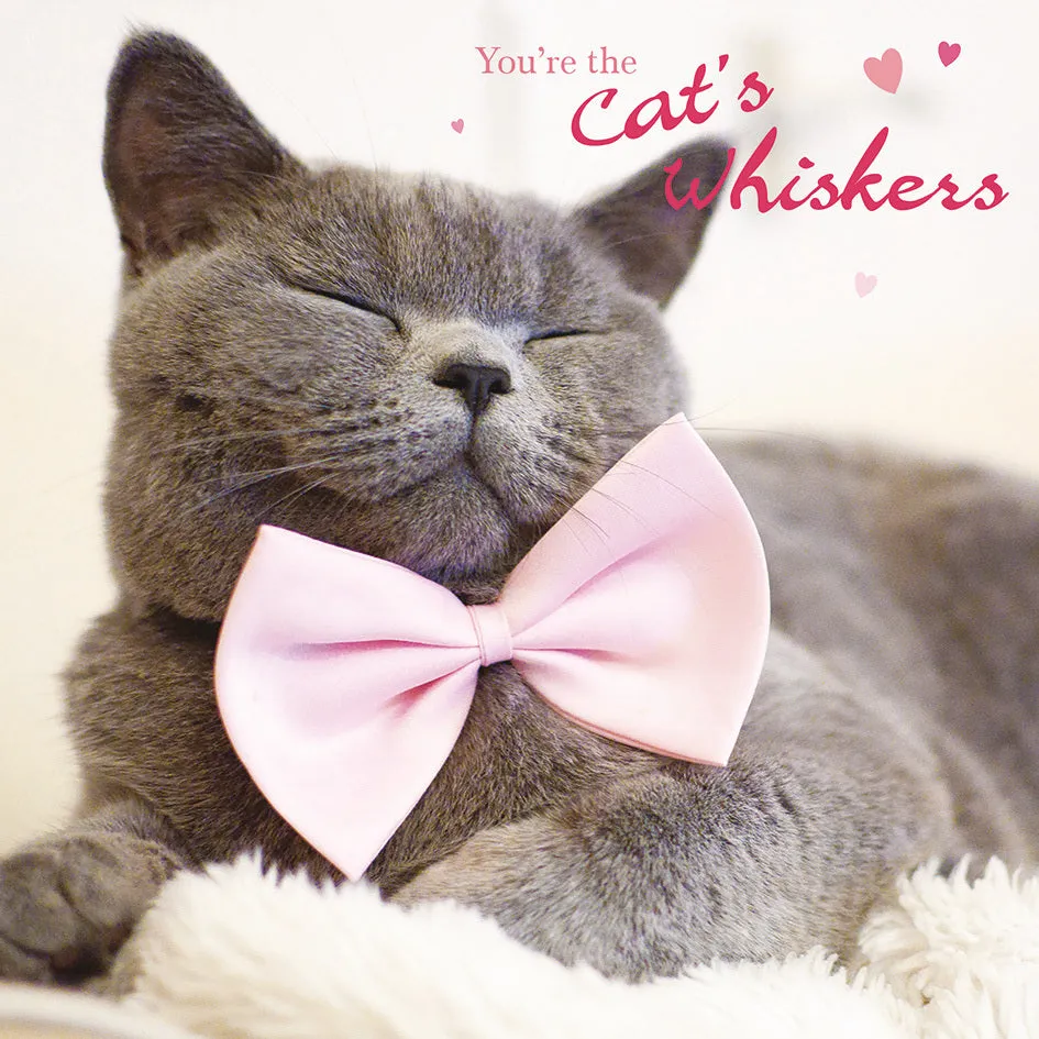 otter-house-cat-s-whiskers-jubil-umskarte-katzenmotiv-offen image 1