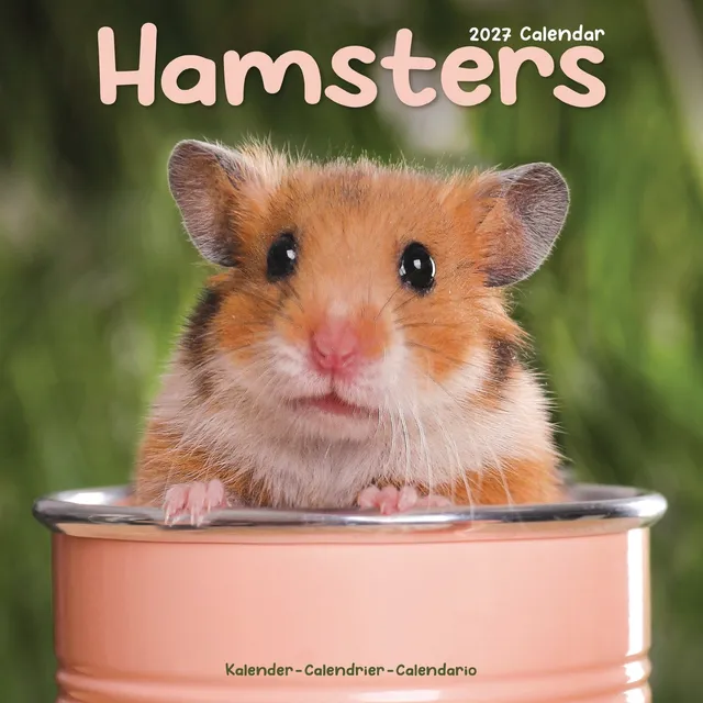 otter-house-hamsters-wandkalender-2027-tiere-hamster image 1