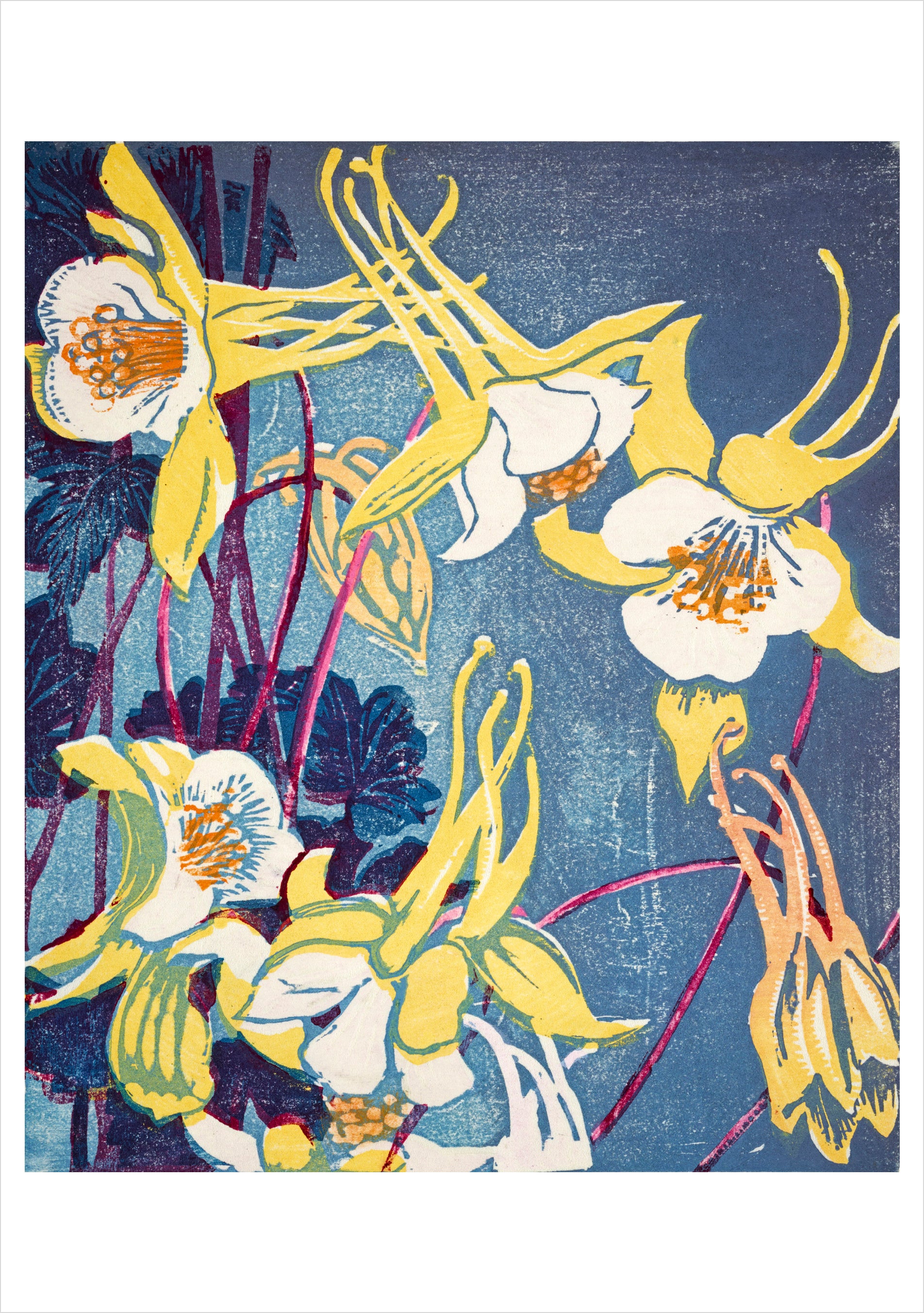 pomegranate-mabel-royds-columbines-klappkarte-blanko-blumen image 1