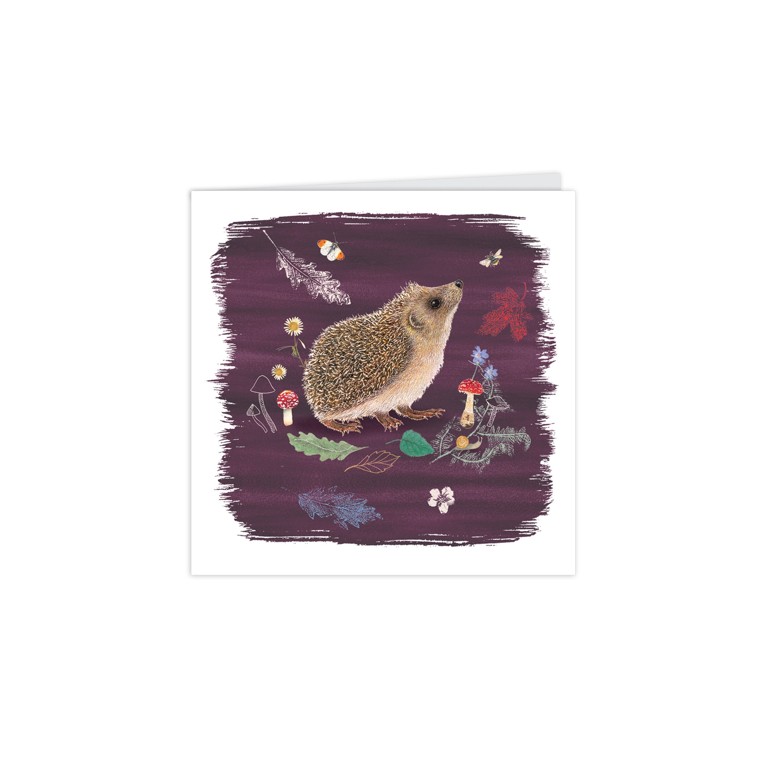 otter-house-beyond-hedgerow-klappkarten-igel-10er-pack image 5