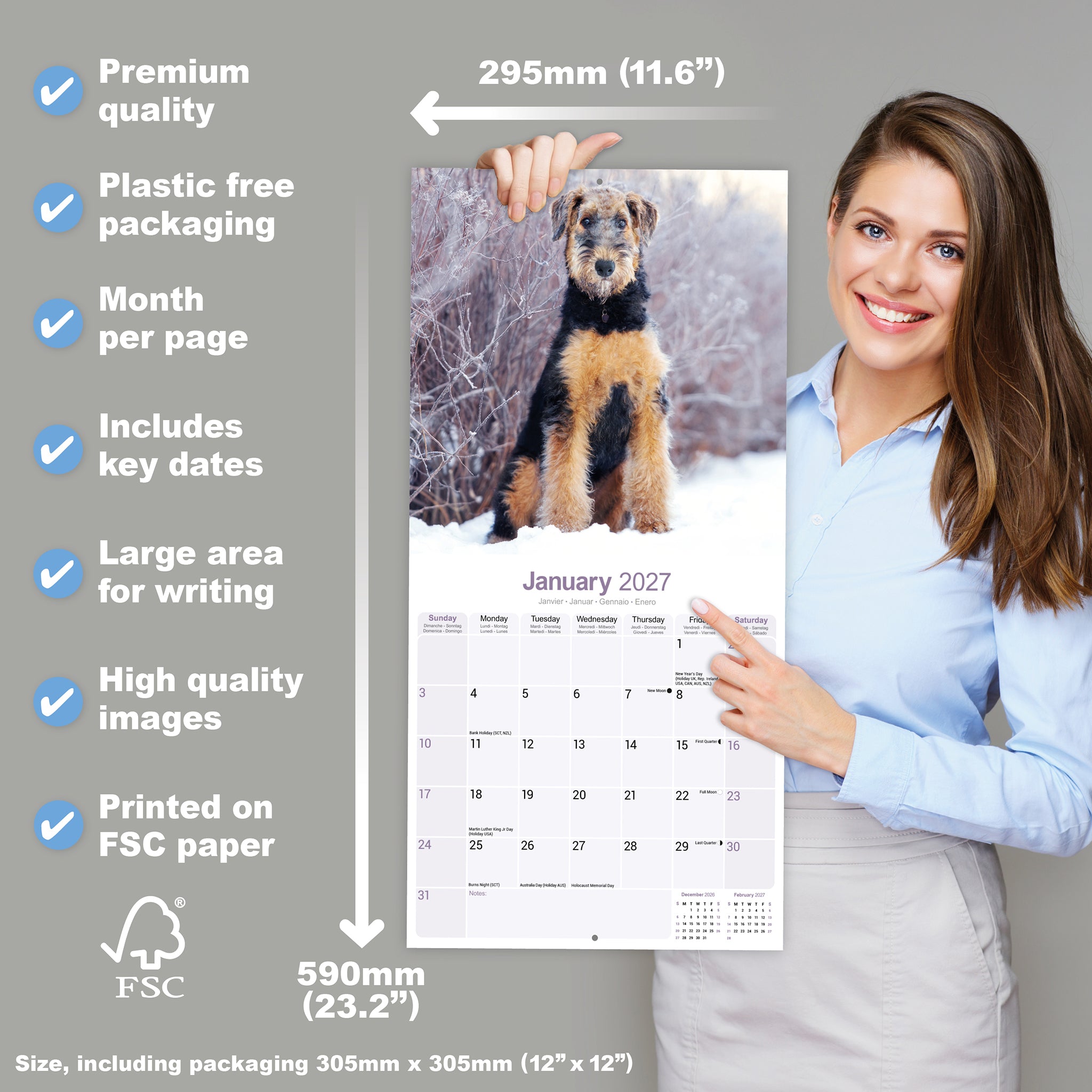 otter-house-airedale-terrier-wandkalender-2027-hundemotiv image 4