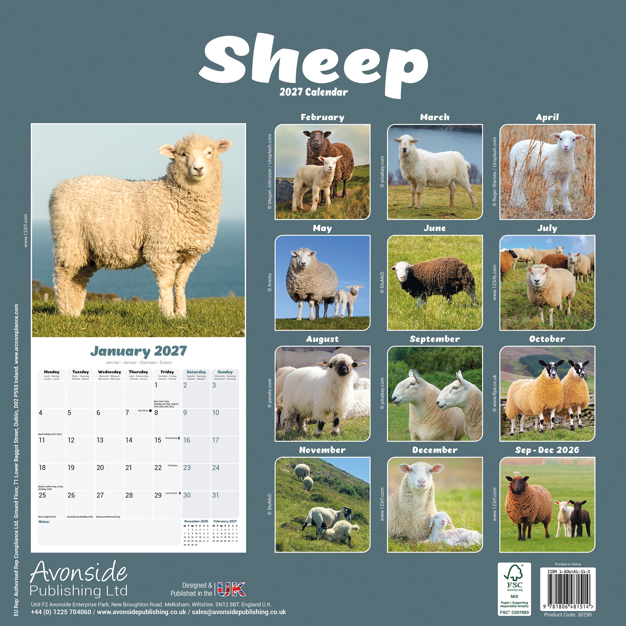 otter-house-sheep-wall-calendar-2027-wandkalender-schafe image 2
