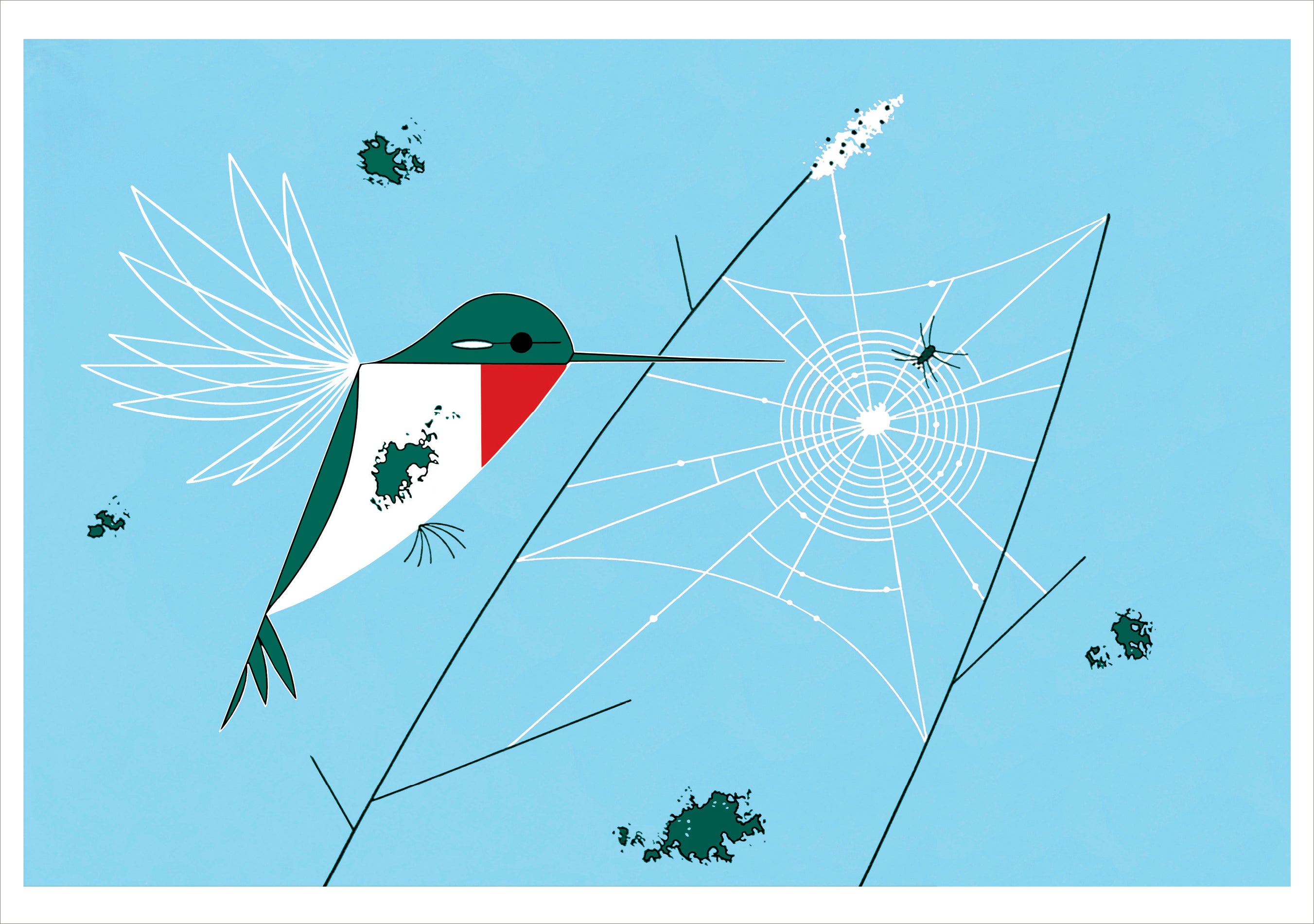 pomegranate-charley-harper-hummingbirds-klappkarten-set-10-teilig-v-gel image 2