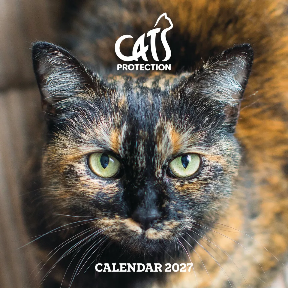 otter-house-cats-protection-wandkalender-2027-katzen image 1