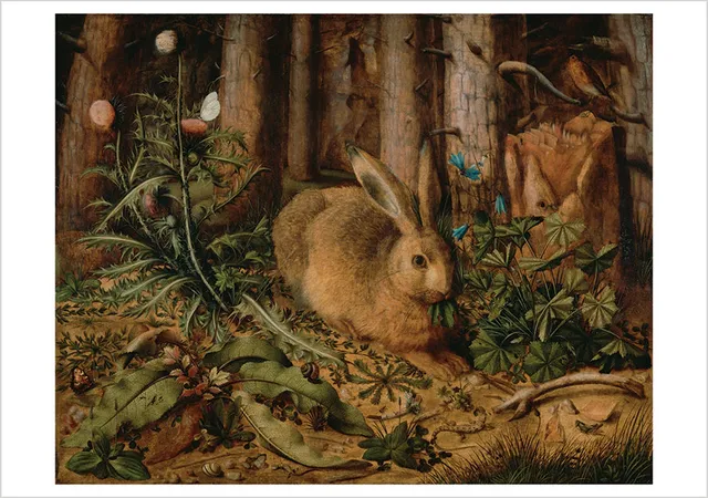 pomegranate-blank-notecards-hoffmann-hase-im-wald-klappkarte-einzelkarte image 1