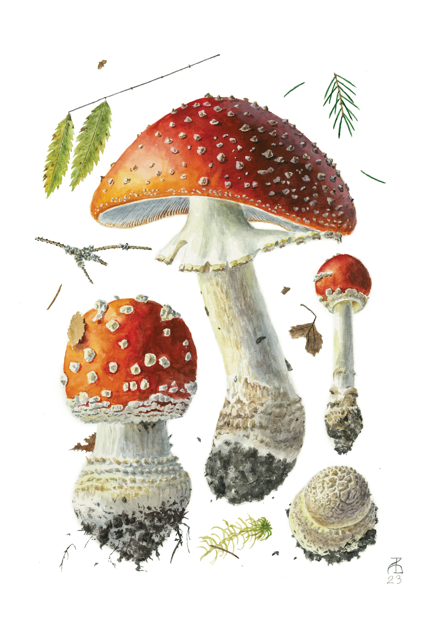 pomegranate-viazmensky-amanita-muscaria-blanko-klappkarte-fliegenpilz image 1
