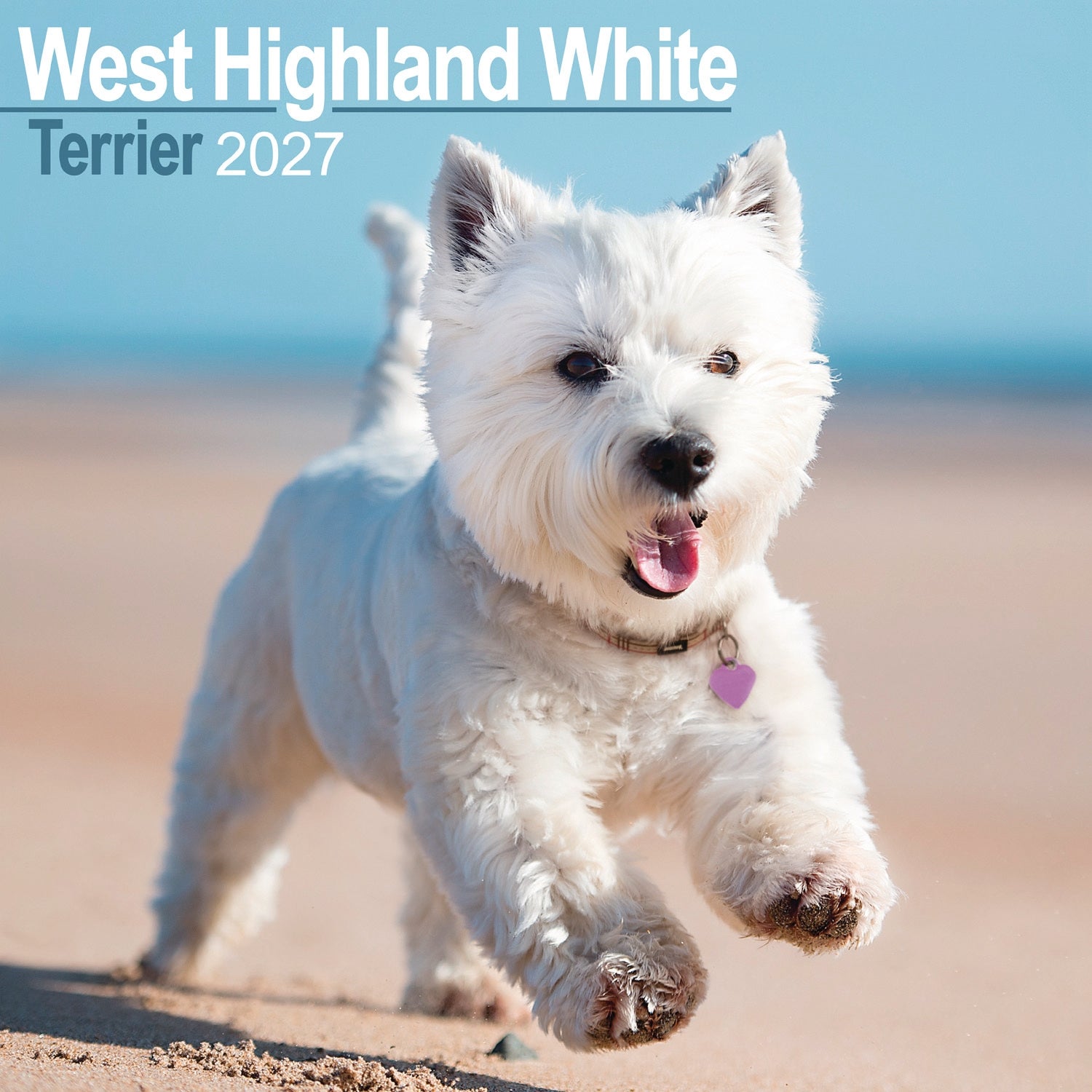 otter-house-west-highland-white-terrier-wandkalender-2027 image 1