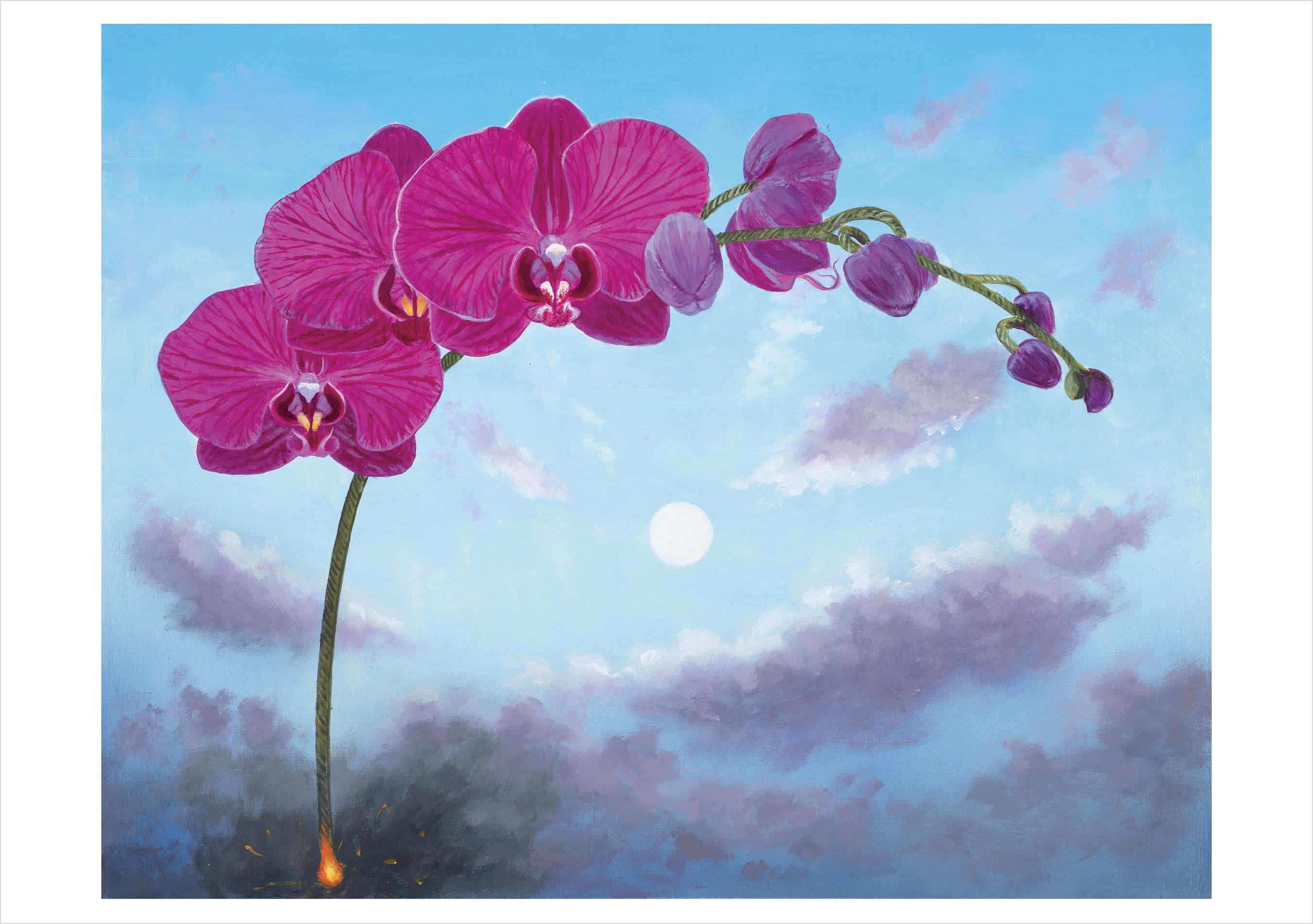 pomegranate-l-c-armstrong-flowers-phalaenopsis-klappkarte image 1