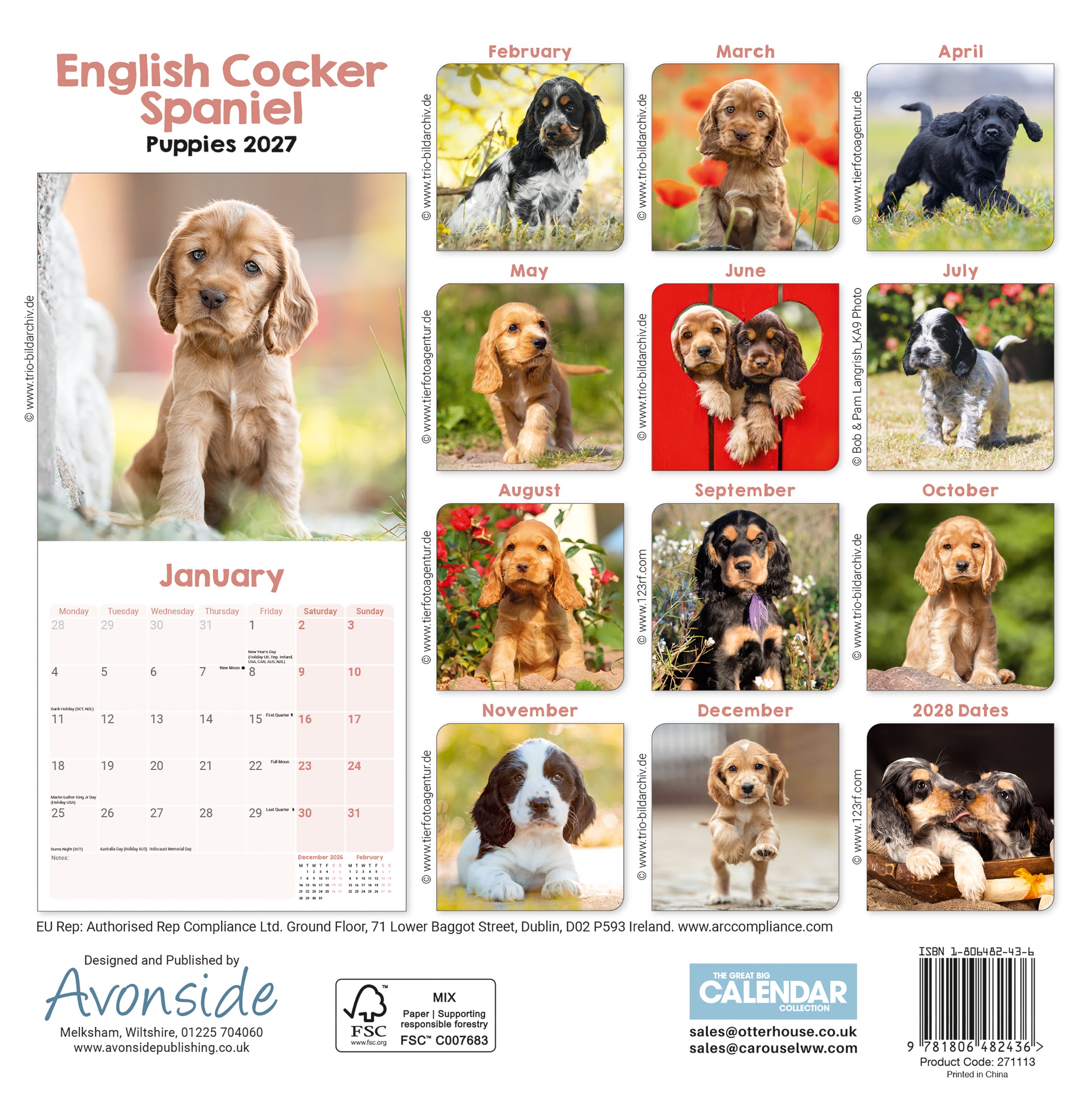 otter-house-english-cocker-spaniel-puppies-mini-kalender-2027 image 2