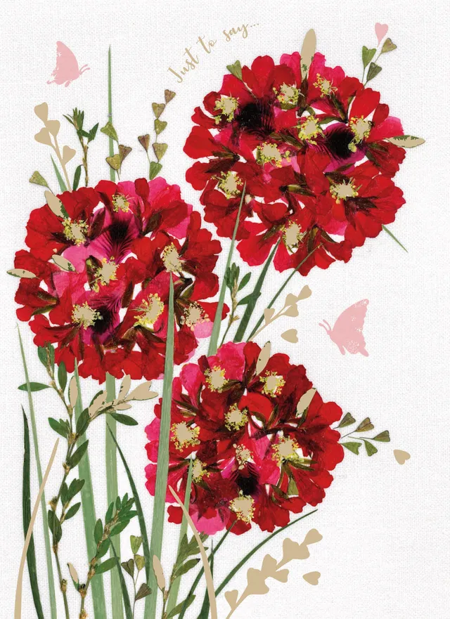 otter-house-greetings-cards-flower-press-geranium-grusskarte-rot image 1