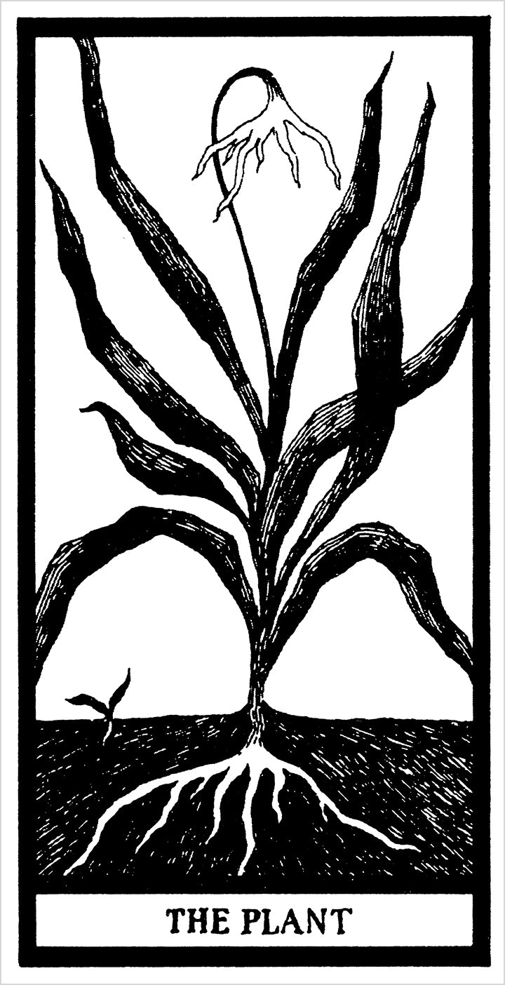 pomegranate-edward-gorey-fantod-pack-spielkarten-tarot-20-karten image 5
