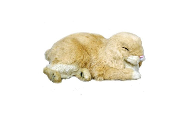 otter-house-precious-petzzz-mini-lop-pl-schtier-kaninchen-mit-bett image 1