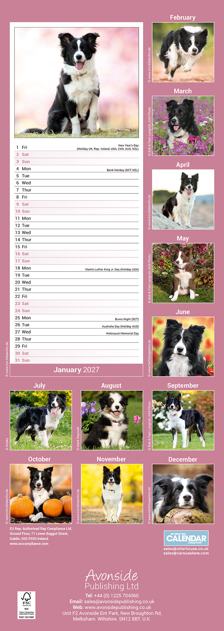 otter-house-border-collie-slim-calendar-2027-hundekalender image 2