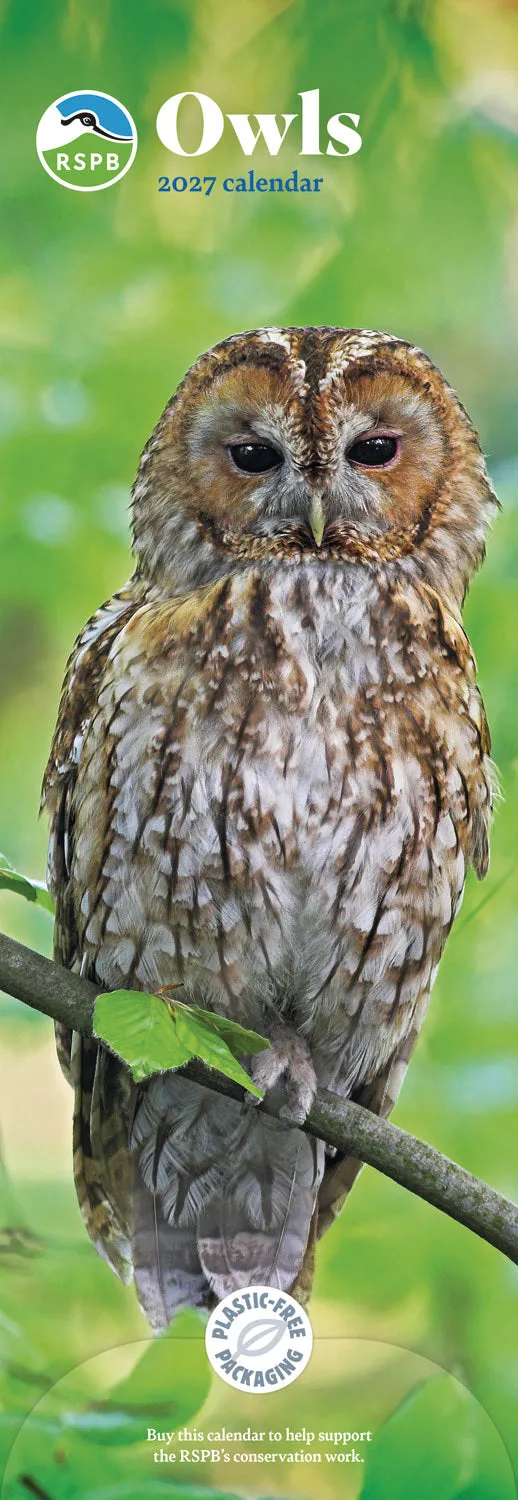 otter-house-owls-rspb-slim-kalender-2027-eulen-wandkalender image 1