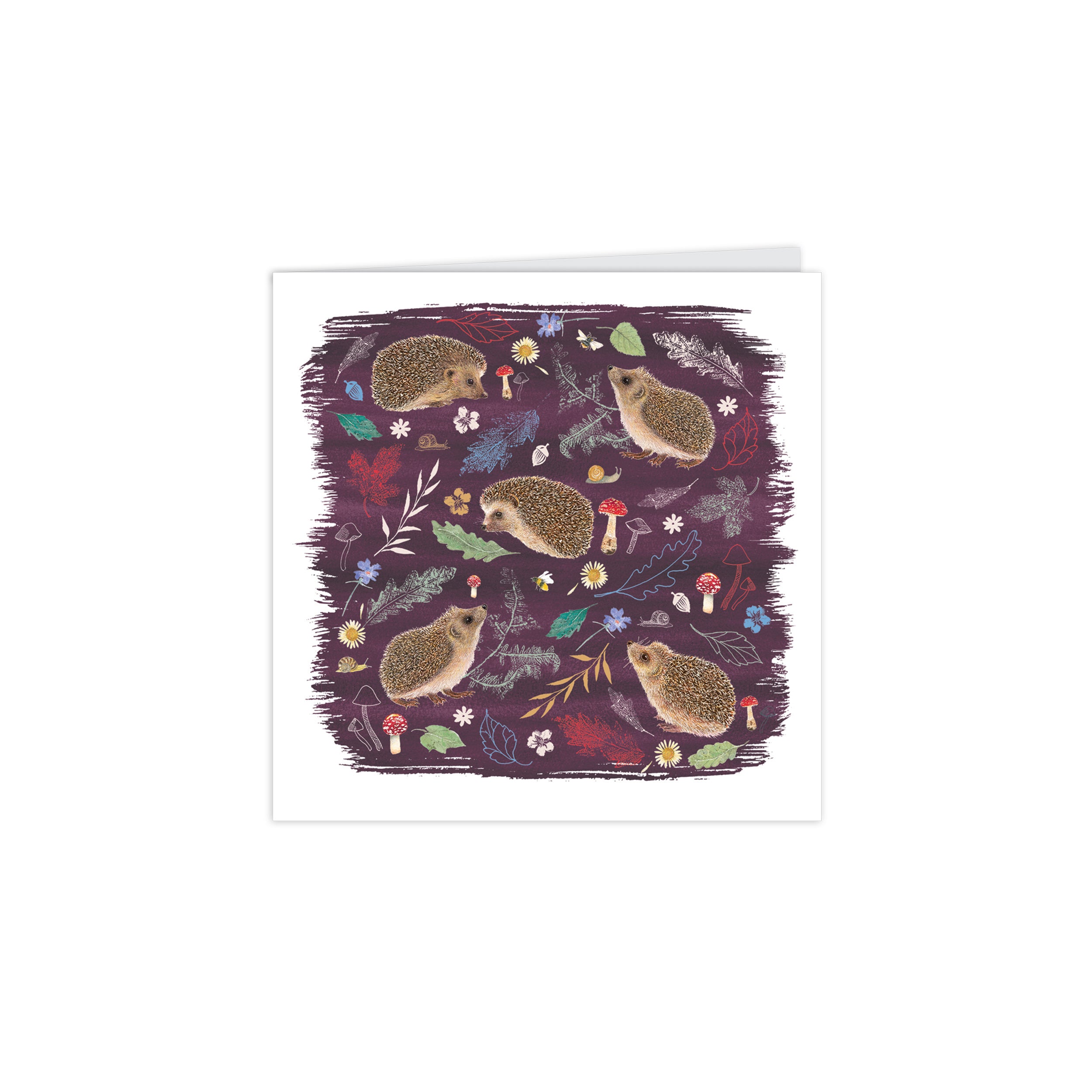 otter-house-beyond-hedgerow-klappkarten-igel-10er-pack image 4