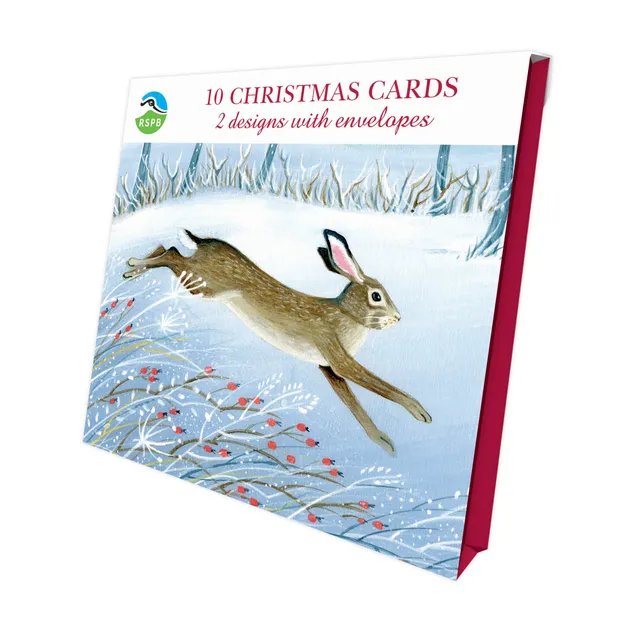 otter-house-wintry-hare-fox-rspb-weihnachtskarten-10er image 1