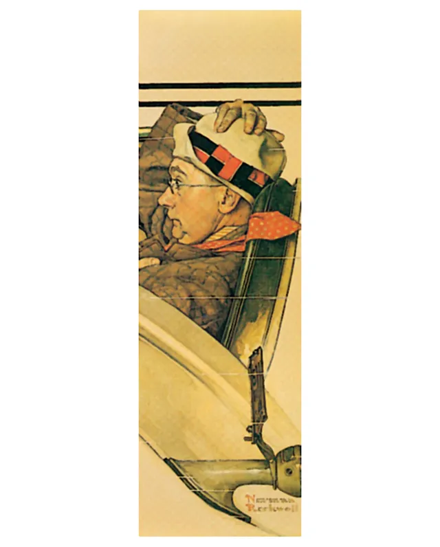 pomegranate-norman-rockwell-ride-in-a-rumbleseat-lesezeichen-humor image 1