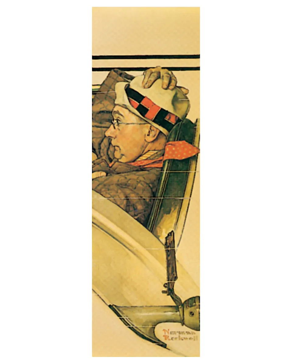 pomegranate-norman-rockwell-ride-in-a-rumbleseat-lesezeichen-humor image 1
