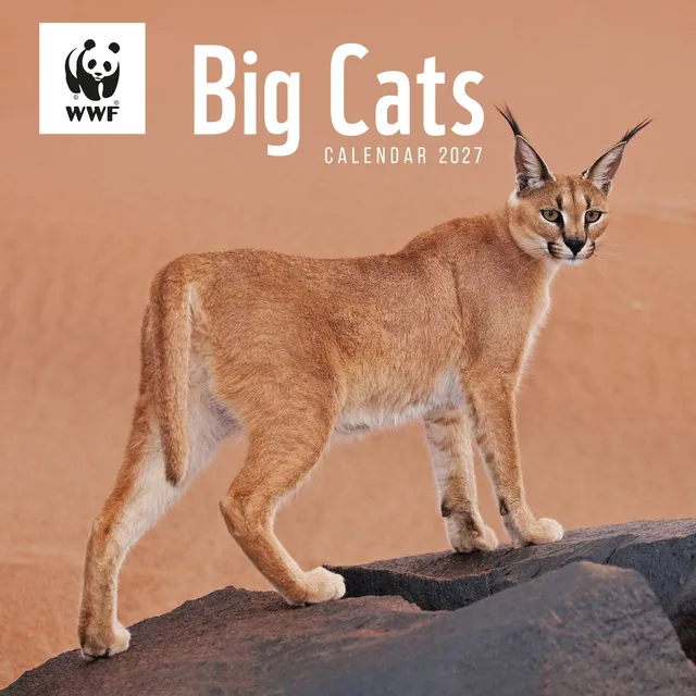 otter-house-big-cats-wwf-wandkalender-2027-raubkatzen image 1