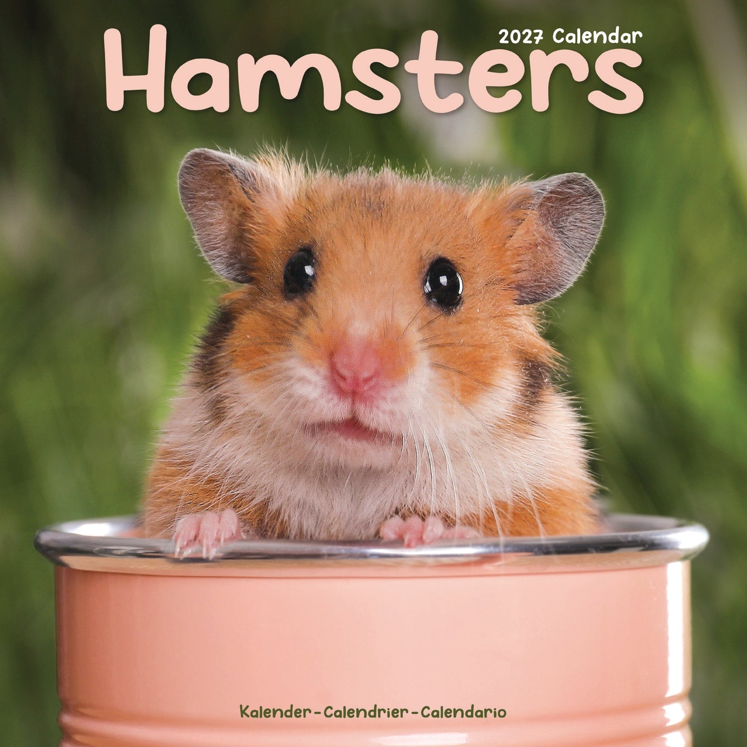 otter-house-hamsters-wandkalender-2027-tiere-hamster image 1
