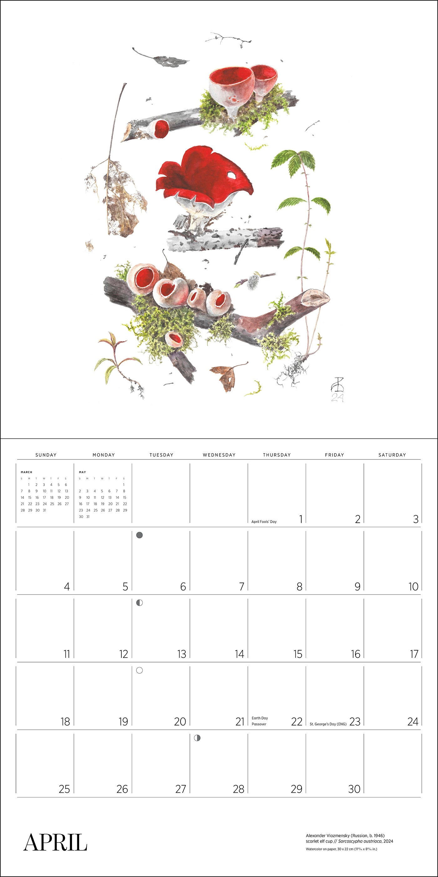 pomegranate-mushrooms-alexander-viazmensky-2027-wandkalender image 5