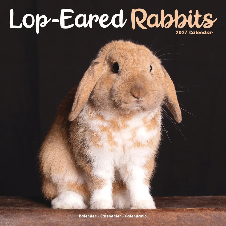 otter-house-lop-eared-rabbits-wandkalender-2027-kaninchen image 1