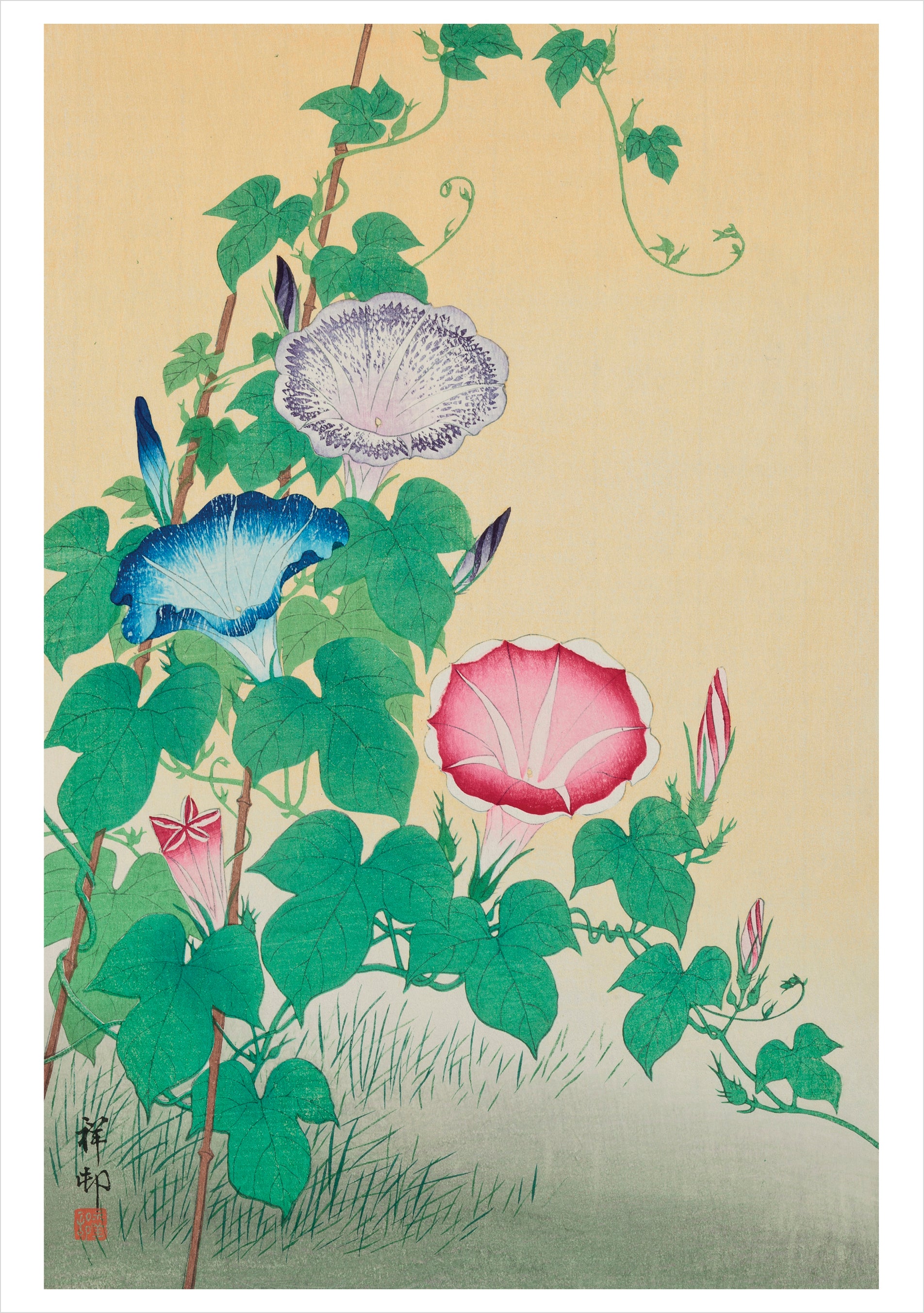 pomegranate-birthday-cards-ohara-koson-morning-glories-geburtstagskarte image 1