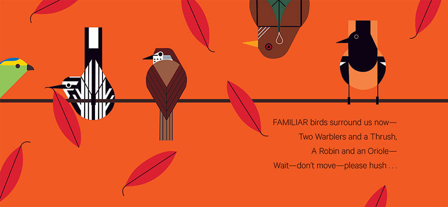 pomegranate-charley-harper-what-s-in-rain-forest-kinderbuch image 2